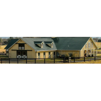 Ochranné nátěry na dřevo